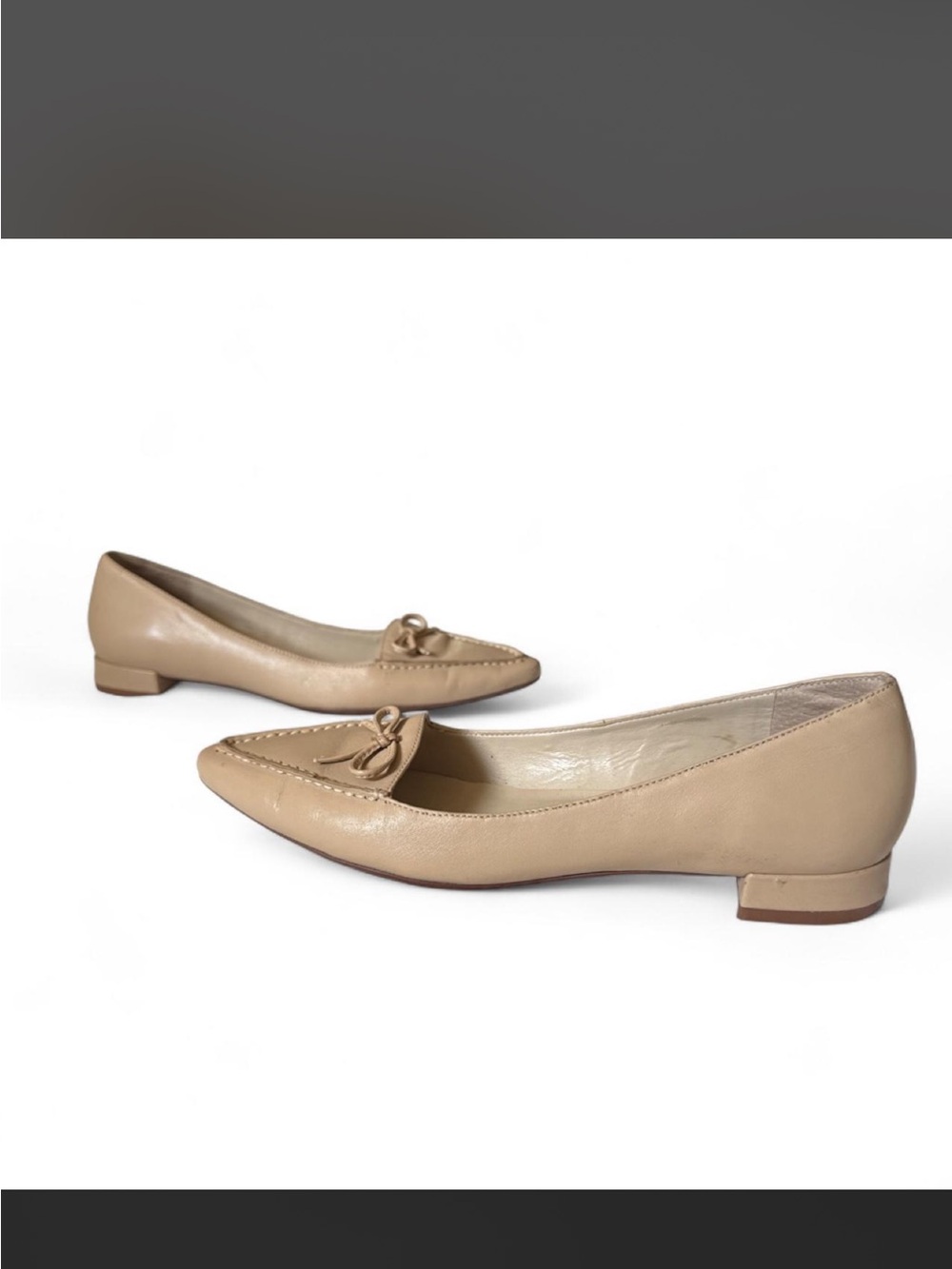 BCBG Classic Beige Pointed-Toe Women’s Flats